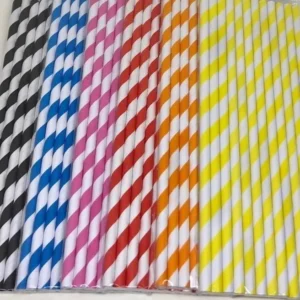 PALITO DE PAPEL COM 10UNIDADES